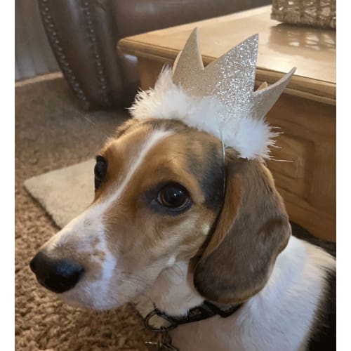 Glitter Party Crown - Gold