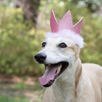 Thumbnail for Glitter Party Crown - Pink