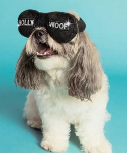 Glitz & Glam Glasses Dog Toy