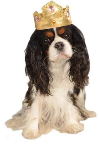 Gold Dog Tiara with Pink Stones