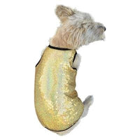 Thumbnail for Gold Stardust Dog Shirt