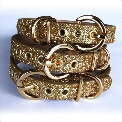 Golden Twinkle Dog Collar