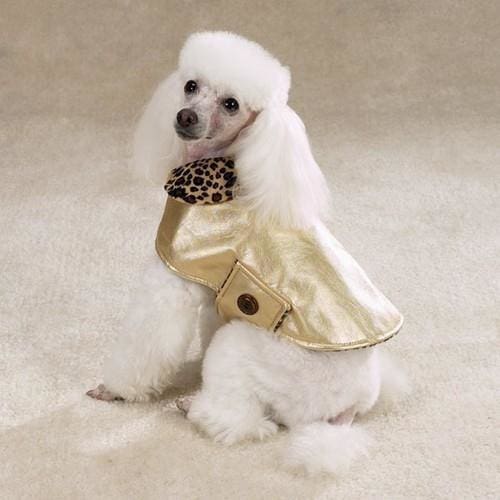 Goldie Dog Coat