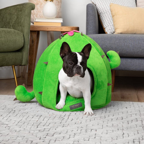Dog inside a green pet bed shaped like a cactus in a living room.