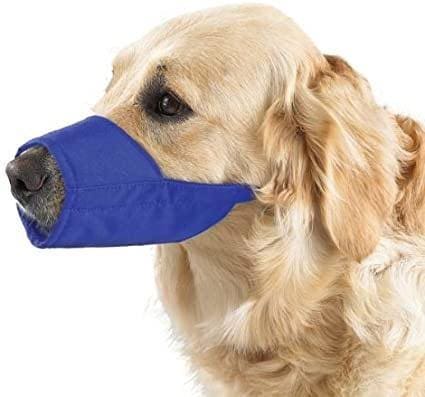 Guardian Gear Nylon Dog Muzzle- Blue