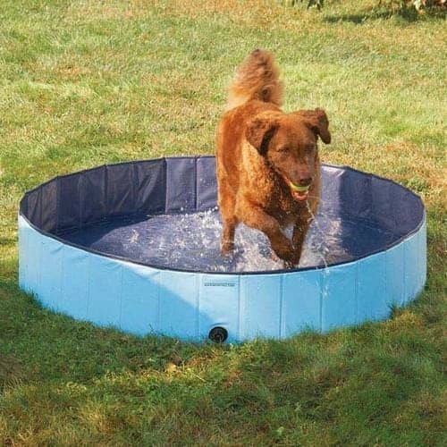 Guardian Gear Splash About Dog Pool