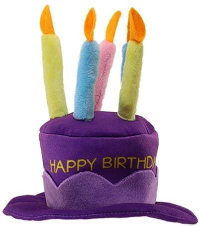 Happy Birthday Party Dog Hat