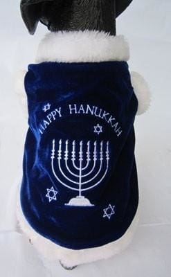 Happy Hanukkah Costume