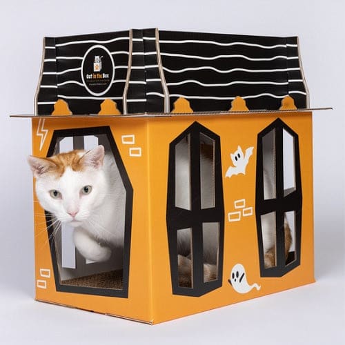 Haunted House - Cardboard Box Cat Playhouse