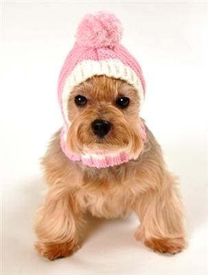 HD Crown Knit Dog Hat - Pink