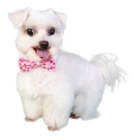 Thumbnail for Hearts Dog Bow Tie