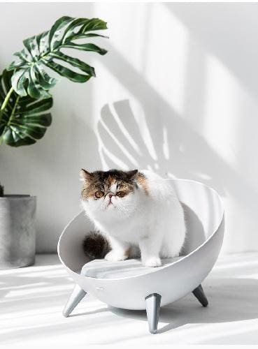 Hemispherical Cat Chaise