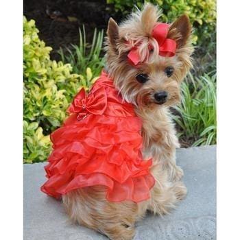 Holiday Harness Dog Dress - Red Satin