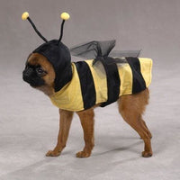 Thumbnail for Honey Bee Costume