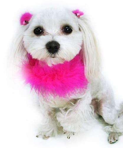 Hot Pink Boa Dog Collar