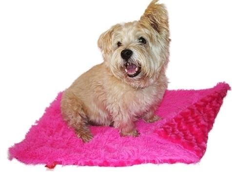 Hot Pink Powder Puff Minkie Binkie Dog Blanket