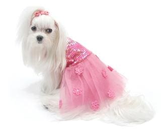 Hotter Than You Pink Sequin Dog Dress