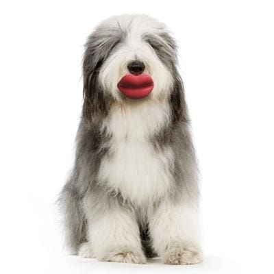 Humunga Lips Dog Toy