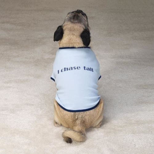 I Chase Tail Humor Dog Shirt