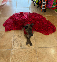 Thumbnail for Luxury Burgundy Floral Dog Wedding Dress
