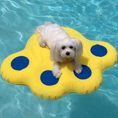 Floatable Dog Raft Inflatable Dog Raft - Posh Pet – Posh Pet Glamour Boutique