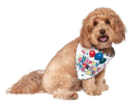 Thumbnail for It’s My Barkday Reversible Dog Bandana