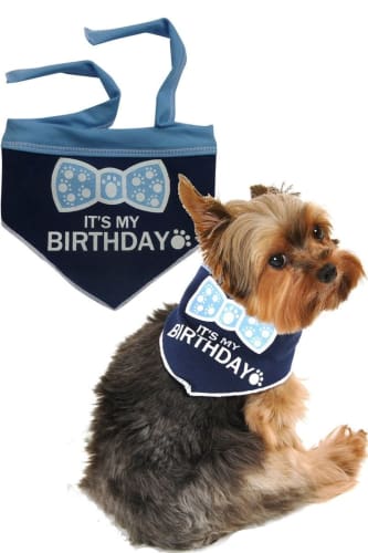 Its My Birthday Bow Tie Dog Scarf - Navy