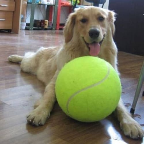 Jumbo Dog Tennis Ball