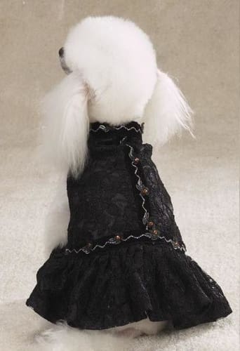 Lace Flamenco Dog Dress