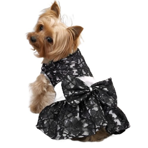 Lace Satin Dog Dress