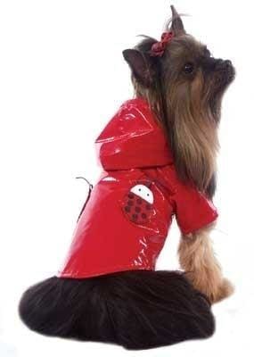 Ladybug Dog Raincoat