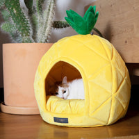 Thumbnail for Pineapple Dog & Cat Fun Bed Prive Collection
