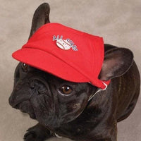 Thumbnail for LED Sports Dog Cap