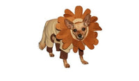 Thumbnail for Lion Pet Costume