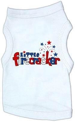 Little Firecracker Screen Shirt