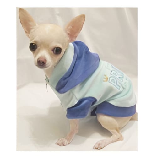 Little Prince in Training Velour Dog Hoodie