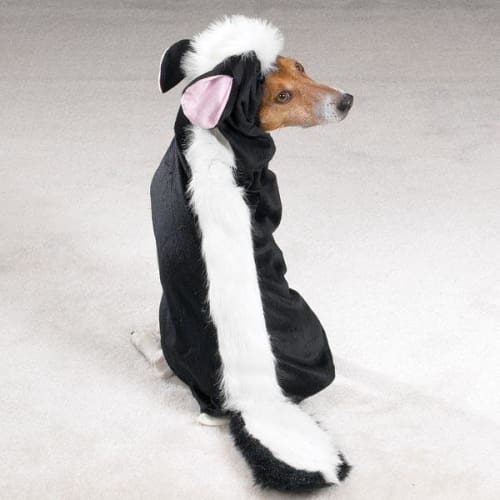 Little Stinker Skunk Dog Costume