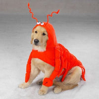 Thumbnail for Lobster Paws Costume