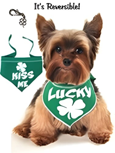 Lucky Reversible Dog Bandana