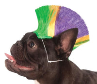 Thumbnail for Mardi Gras Mohawk Dog Wig
