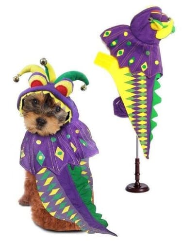 Mardi Paws Dragon