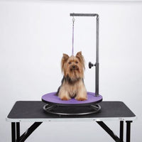 Master Equipment - Small Pet Grooming Table - Blue