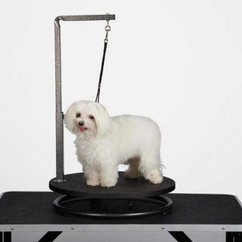 Master Equipment Small Pet Grooming Table