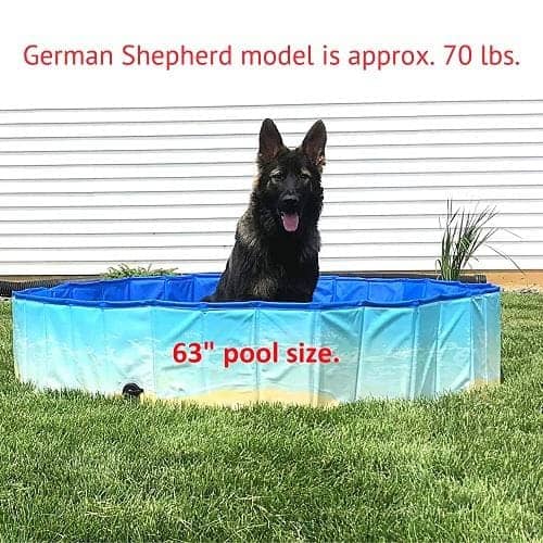 Midlee Dog Pool