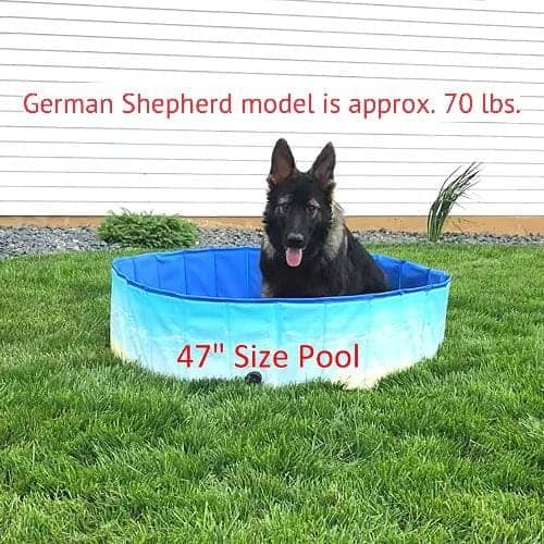 Midlee Dog Pool