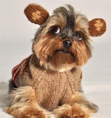 Monkey Dog Hoodie