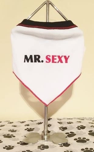 Mr. Sexy Dog Bandana