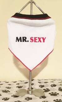 Thumbnail for Mr. Sexy Dog Bandana