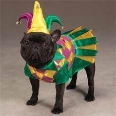 Mrs. Jester Dog Costume