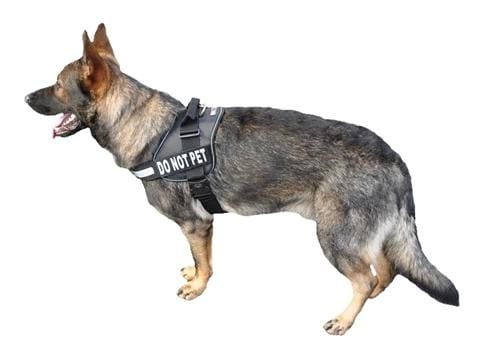 Shop Pair Of Removable Reflective Dog Harness Patches - German Shepherd Shop